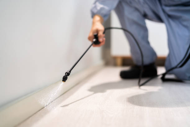 Licensed Pest Control service in Ellwood City, PA - Show Me Pest Control