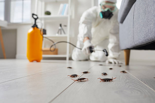Commercial Kitchen Cockroach Control in Ellwood City