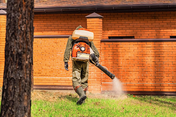 Cockroach Follow-Up and Monitoring in Ellwood City